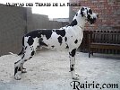 ULON'AS des Terres de la Rairie